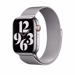 Apple MTJR3ZM/A Bande Argent Acier inoxydable