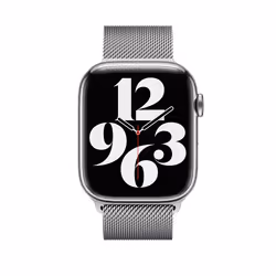 Apple MTJR3ZM/A Bande Argent Acier inoxydable