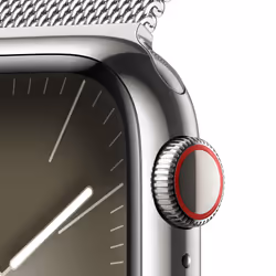 Apple Watch Series 9 41mm 4G Argent Wifi GPS (satellite)