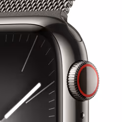 Apple Watch Series 9 41mm 4G Graphite Wifi GPS (satellite)
