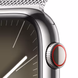 Apple Watch Series 9 45mm 4G Argent Wifi GPS (satellite)