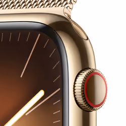 Apple Watch Series 9 45mm 4G Or Wifi GPS (satellite)