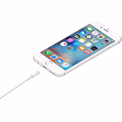 Apple Câble Lightning vers USB (1 m)