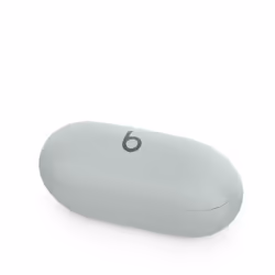 Apple Beats Solo Buds - Gris orage - Vue supplémentaire 6