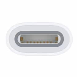 Apple USB-C to Pencil Adapter Blanc 1 pièce(s)