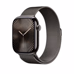 Apple MXMT3ZM/A Bande Gris Acier inoxydable