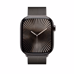 Apple MXMT3ZM/A Bande Gris Acier inoxydable