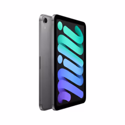Apple iPad mini 7th gen 5G 256Go 8.3" Gris