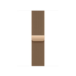 Apple MAXL4ZM/A Bande Or Acier inoxydable