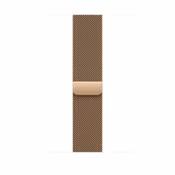 Apple MC7K4ZM/A, Bande, Smartwatch, Or, Apple, Apple Watch Models 44mm 45mm 46mm 49mm, Acier inoxydable