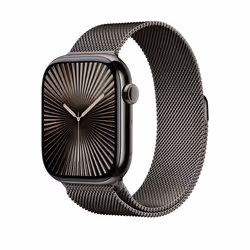 Apple MC7L4ZM/A Bande Gris Acier inoxydable