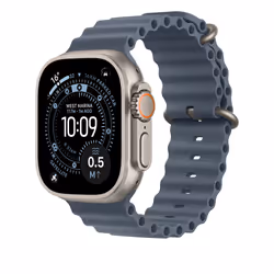 Apple Natural Titanium Finish Bande Bleu Fluoroélastomère, Titane - Vue supplémentaire 2