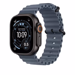 Apple Titanium Finish Bande Bleu Fluoroélastomère, Titane - Vue supplémentaire 2