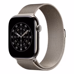 Apple MGJ24ZM/A Bande Naturel Acier inoxydable - Vue supplémentaire 2