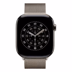 Apple MGJ24ZM/A Bande Naturel Acier inoxydable - Vue supplémentaire 3