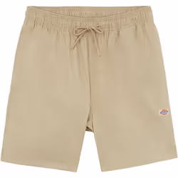 DICKIES PELICAN RAPIDS COULEUR BRUN CLAIR