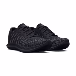 Sports Shoes Charged Breeze 2 Mesh Noir - 44,5
