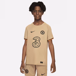 Nike DN2736-253, Enfant, Tee-shirt, S, SML, Football, 1 pièce(s)