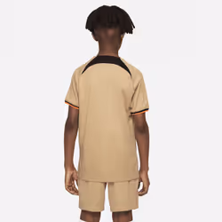 Nike DN2736-253