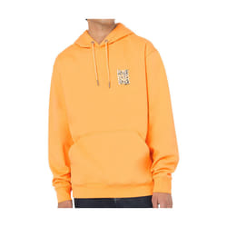 DICKIES CRESWELL HOODIE COULEUR ORANGE E821