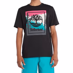 Tee Shirt Superdry Emb