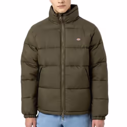 Veste Dickies Waldenburg