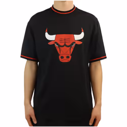 T-shirt à manches courtes Chicago Bulls Mesh Logo