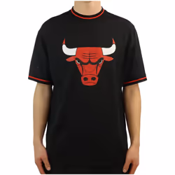 T-shirt à manches courtes Chicago Bulls Mesh Logo
