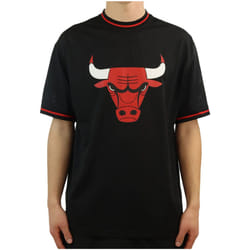 T-shirt à manches courtes Chicago Bulls Mesh Logo