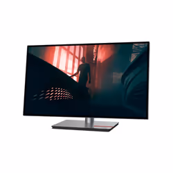 Lenovo ThinkVision P27h-30 LED display 27" Quad HD LCD Noir