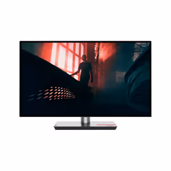 Lenovo ThinkVision P27h-30 LED display 27" Quad HD LCD Noir