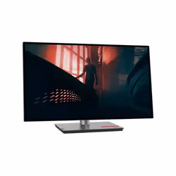 Lenovo ThinkVision P27h-30, 68,6 cm (27"), 2560 x 1440 pixels, Quad HD, IPS, 6 ms, Noir