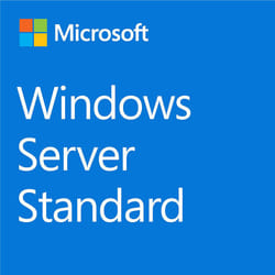 Microsoft Windows Server 2025 Standard 1 licence(s)