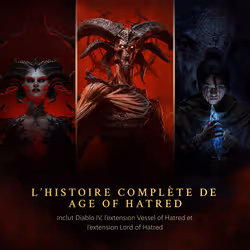 Blizzard Diablo IV: Collection Age of Hatred - Vue supplémentaire 2
