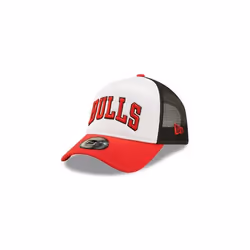 Casquette trucker Chicago Bulls Team Colour Block