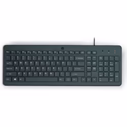 HP Clavier filaire 150, Taille réelle (100 %), USB, Noir
