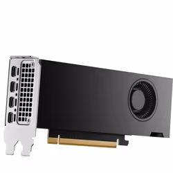 HP NVIDIA RTX PH x2xxx 4mDP Graphics - Vue supplémentaire 6