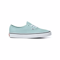 Vans modèle Authentic Color Theory  couleour Vert