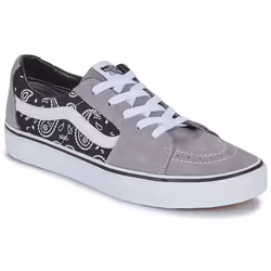 Vans modèle Sk8-low Gris