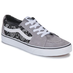 Vans modèle Sk8-low Gris