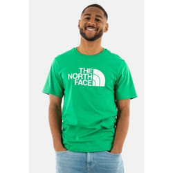 Tee shirt - THE NORTH FACE - Easy PO81 - Homme - Vert - 100% coton
