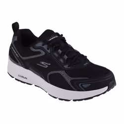 Skechers Go Run Gris Anthracite / Bleu - 46