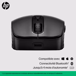 HP 695 Rechargeable Wireless Mouse - Vue supplémentaire 11