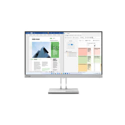Lenovo L25e-40 écran plat de PC 24.5" Full HD Gris