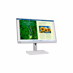 Lenovo L24m-40, 60,5 cm (23.8"), 1920 x 1080 pixels, Full HD, LED, 4 ms, Gris