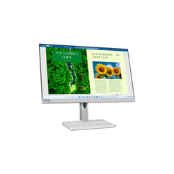 Lenovo L24m-40 écran plat de PC 23.8" Full HD LED Gris