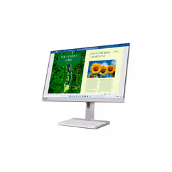 Lenovo L24m-40 écran plat de PC 23.8" Full HD LED Gris