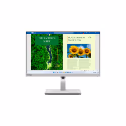 Lenovo L24m-40 écran plat de PC 23.8" Full HD LED Gris