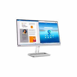 Lenovo L27i-40 LED display 27" Full HD Gris