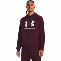 Sweatshirt à capuche Under Armour Rival Fleece Logo